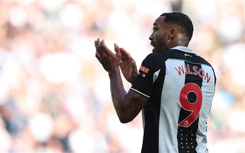 Image for Newcastle news: Callum Wilson injury return timeline emerges