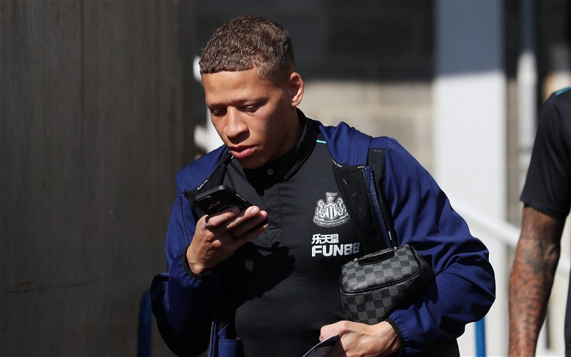 Image for Dwight Gayle: Middlesbrough some way off landing Newcastle outcast